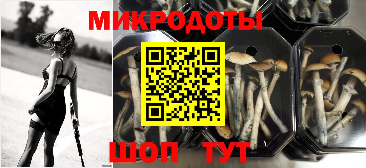Новосибирск  Псилоцибиновые грибы мухоморы  Вход с VPN 