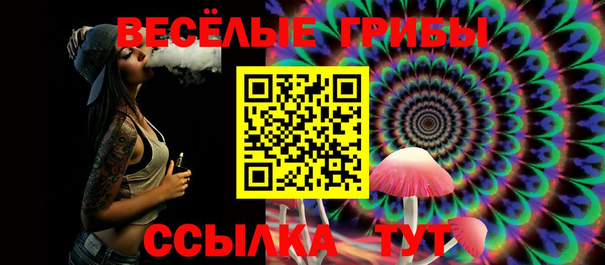 Галлюциногенные грибы GOLDEN TEACHER Новосибирск